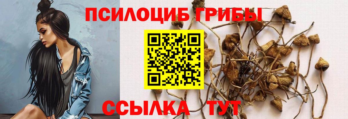 Галлюциногенные грибы GOLDEN TEACHER  Вход с VPN  Галлюциногенные грибы MAGIC MUSHROOMS  Скопин 